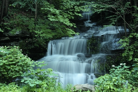 Water nature forest rock Photo