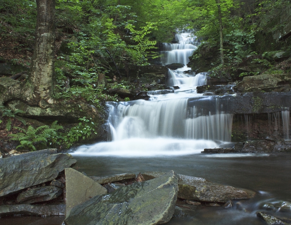 Eau nature cascade ruisseau
