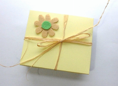 Flower petal daisy gift Photo