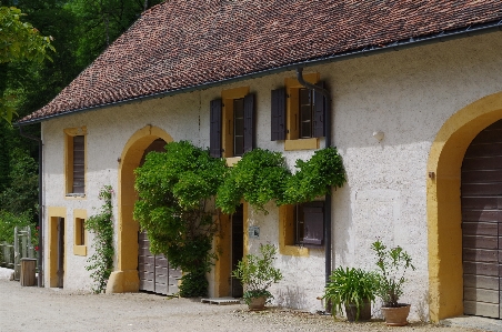 Architecture farm villa house Photo