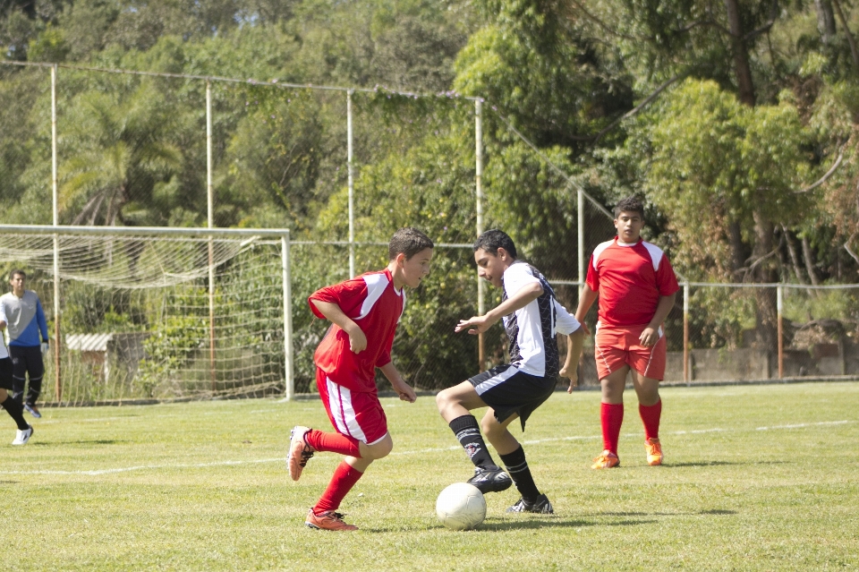 Esporte garoto jovem juventude