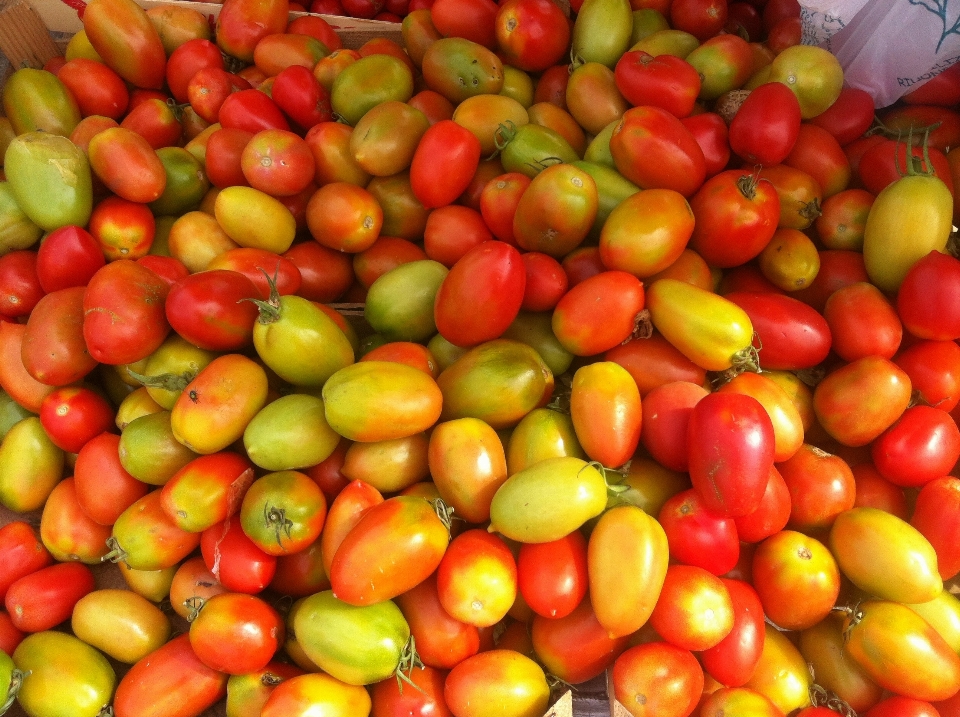 Tanaman buah makanan merah