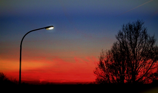 Horizon branch light cloud Photo