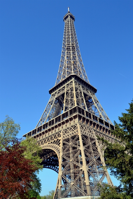 Baum himmel paris frankreich