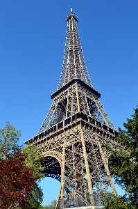 Foto árvore céu paris frança