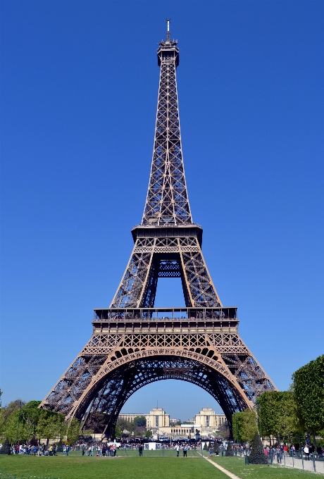 Pohon langit paris monumen