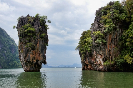 海 海岸 木 水 写真