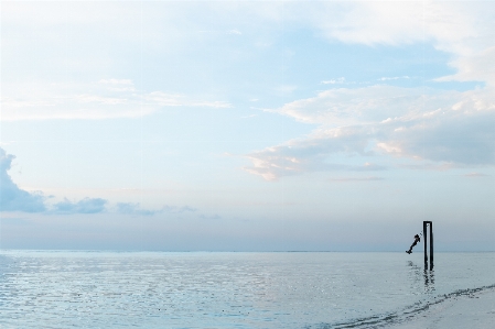 Beach sea coast water Photo