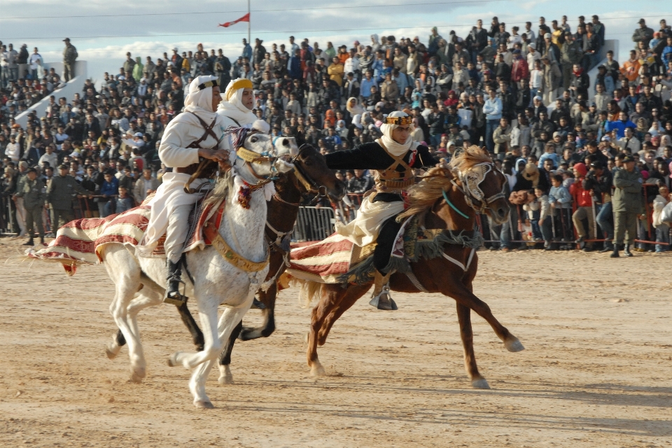 Konkurs sporty rodeo
 tunezja