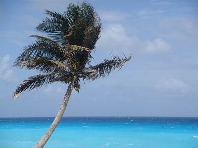 Beach landscape sea coast Photo