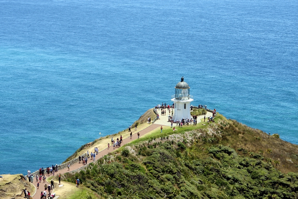 海 海岸 海洋 灯塔