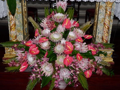 花 植物 咲く 装飾 写真