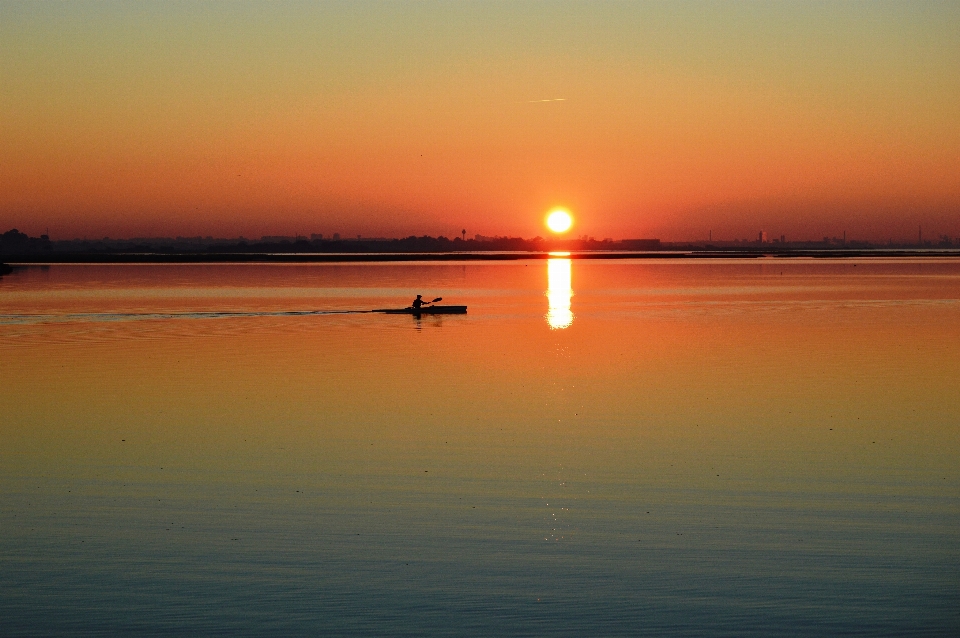 Sea horizon sun sunrise