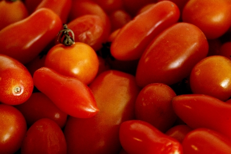 Nature plant fruit orange Photo