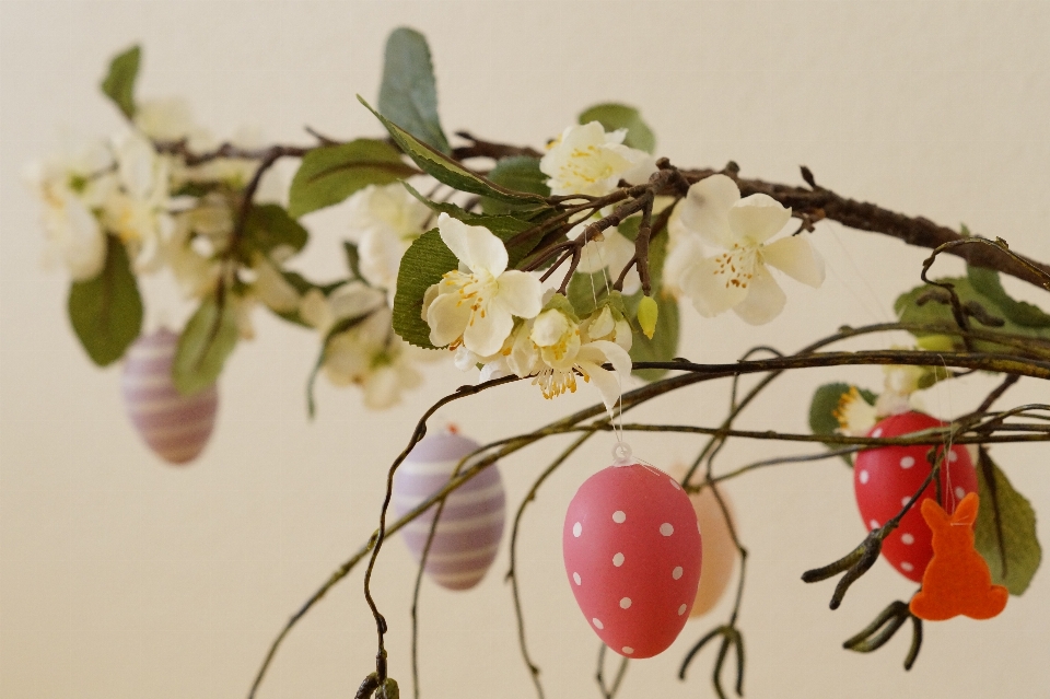 ブランチ 花 植物 葉