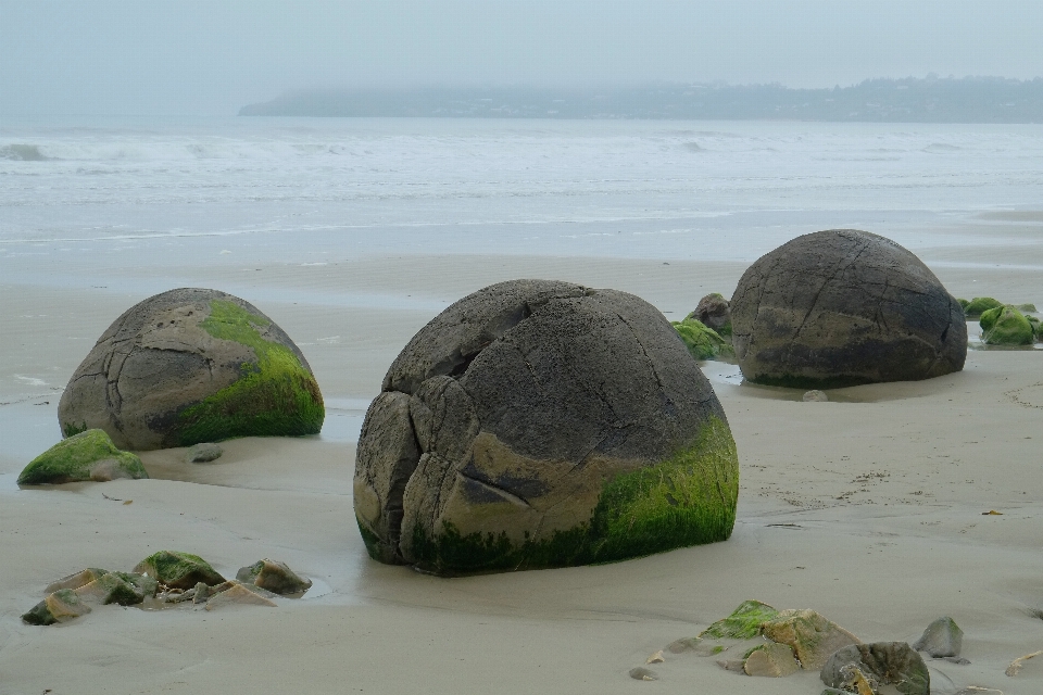 Plage paysage mer côte