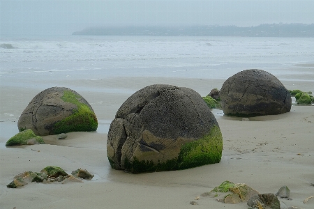 Beach landscape sea coast Photo