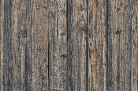 Nature structure wood grain Photo