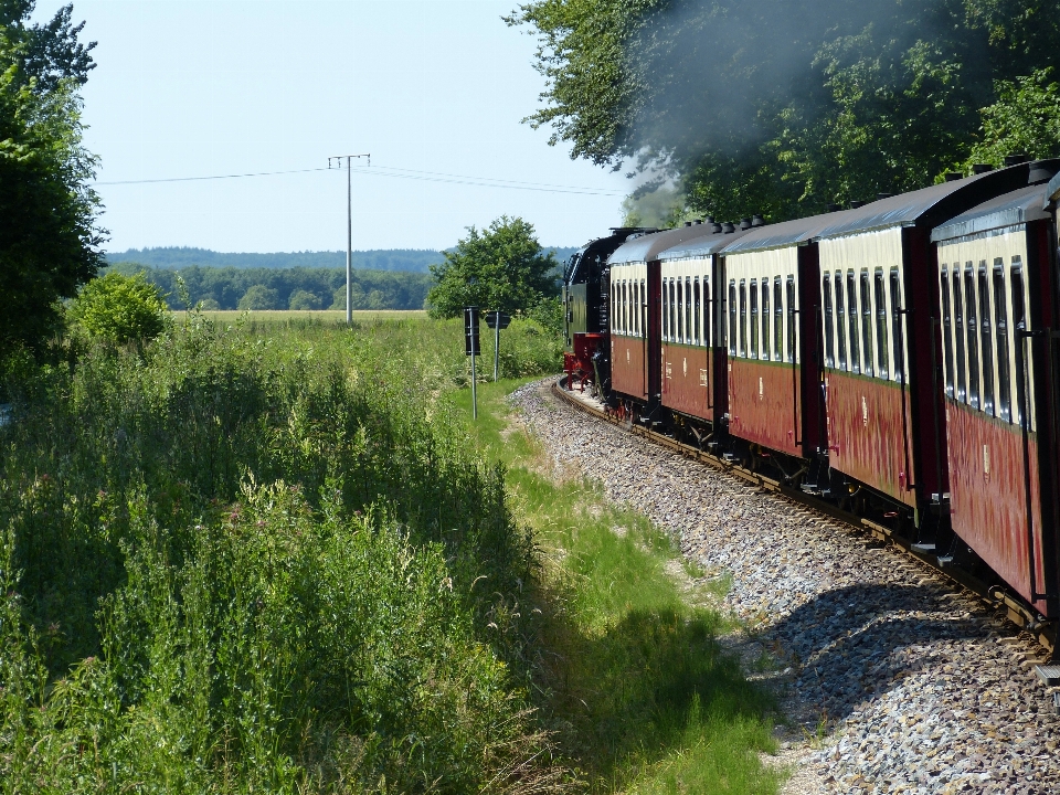 Schiene eisenbahn verkehr feld