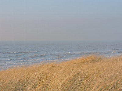 海滩 海 海岸 沙 照片