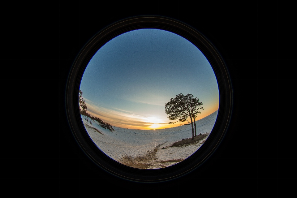 Landscape sea tree nature