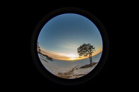 Landscape sea tree nature Photo