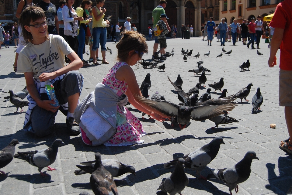 Kerumunan merpati
 festival krakow
