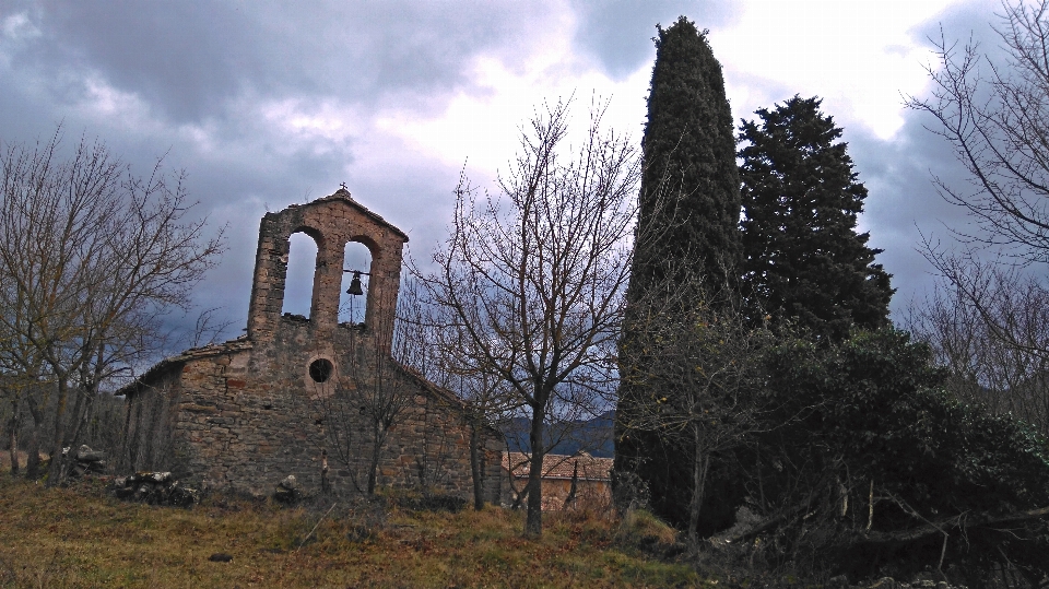 Arbre bâtiment la tour église