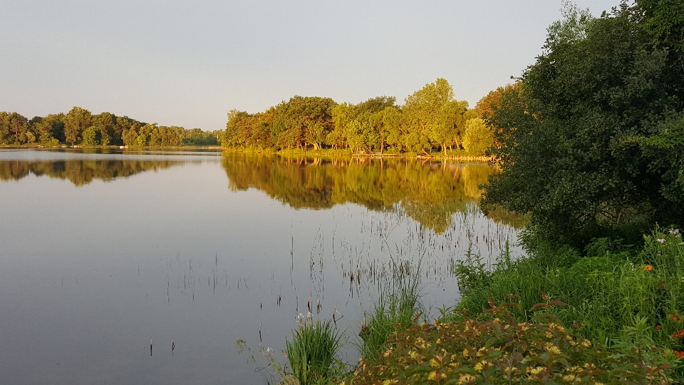 пейзаж дерево вода природа