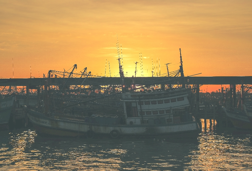 海 海岸 海洋 地平线