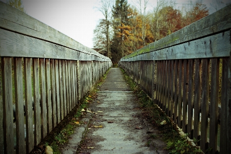 Path fence wood track Photo