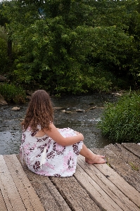 Water nature grass creek Photo