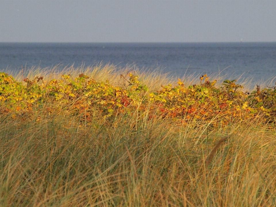 Krajobraz morze wybrzeże natura