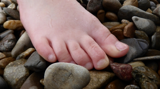 Hand rock wood wet Photo