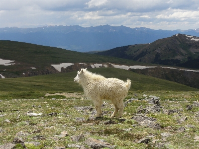 Nature outdoor horizon wilderness Photo