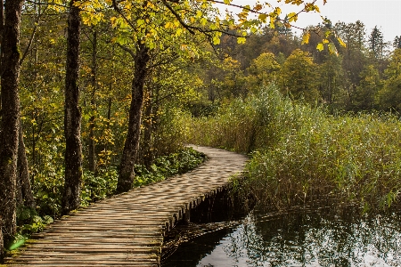 Landscape tree water nature Photo