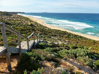 Foto Spiaggia mare costa natura