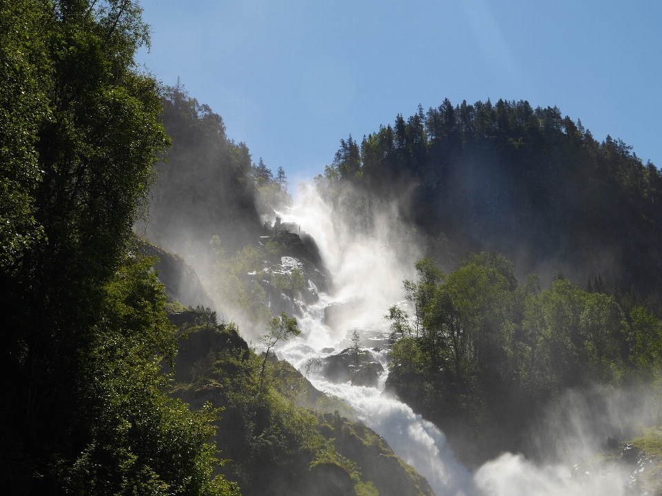 風景 木 水 自然