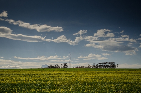 Landscape nature grass horizon Photo