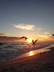 Beach sea coast water Photo