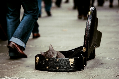 Foto Sepatu salju musim dingin musik