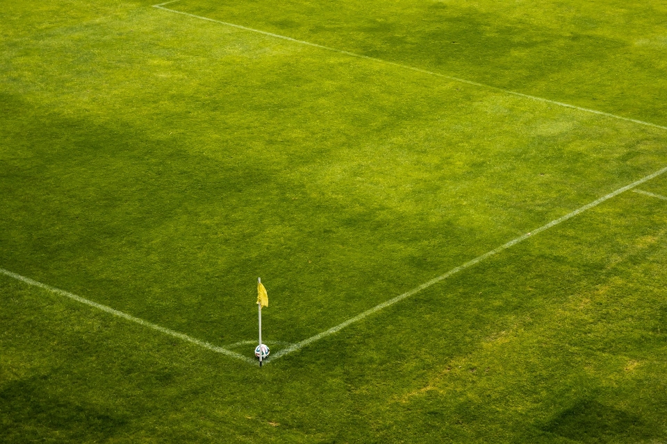 Trawa struktura zakład sport