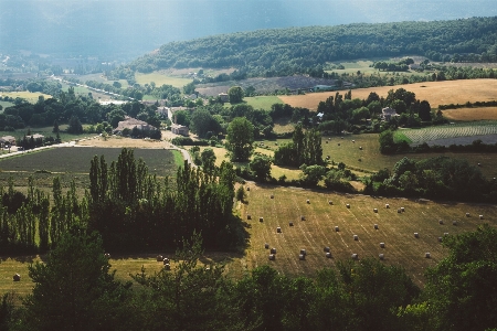 Landscape tree mountain hay Photo