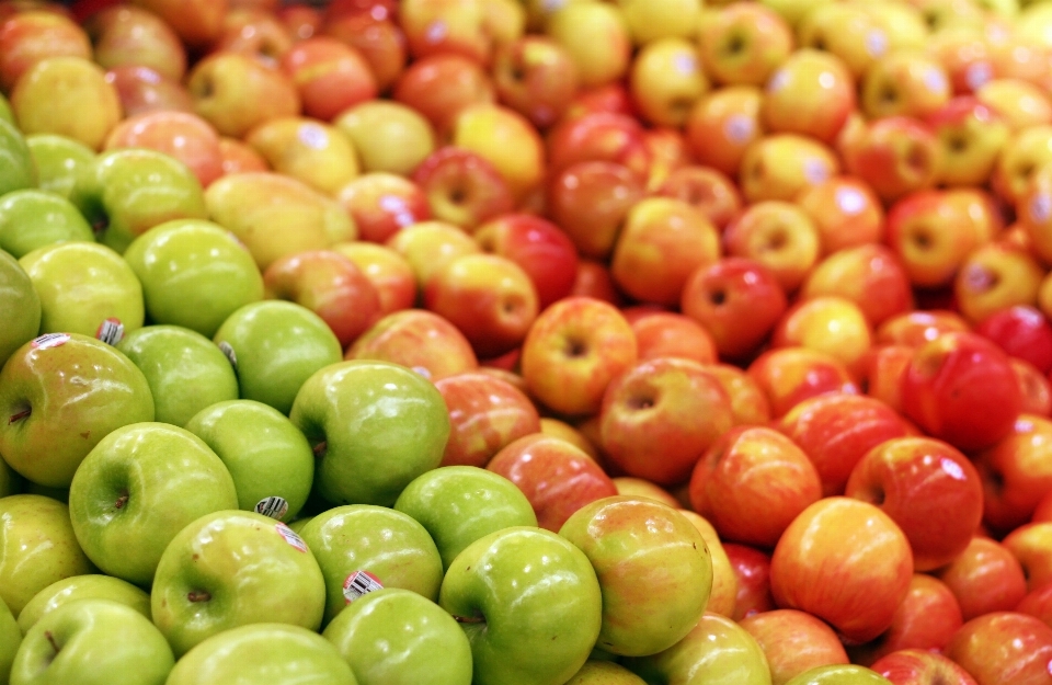 Apple 植物 フルーツ 花