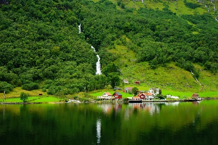 Landscape tree water nature Photo