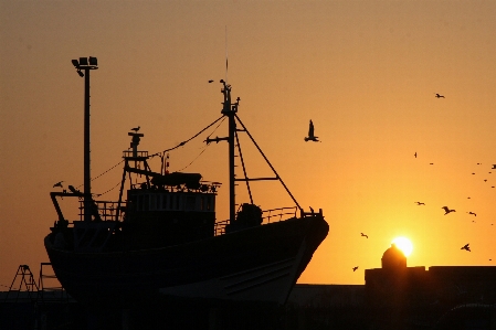 Sea silhouette sunrise sunset Photo