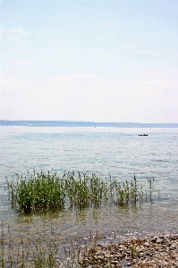 Strand meer küste wasser Foto