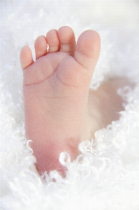 Hand people white petal Photo