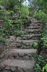 Foto Alam hutan rock jejak