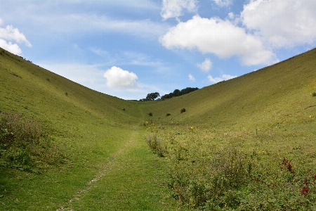 Landscape nature grass wilderness Photo